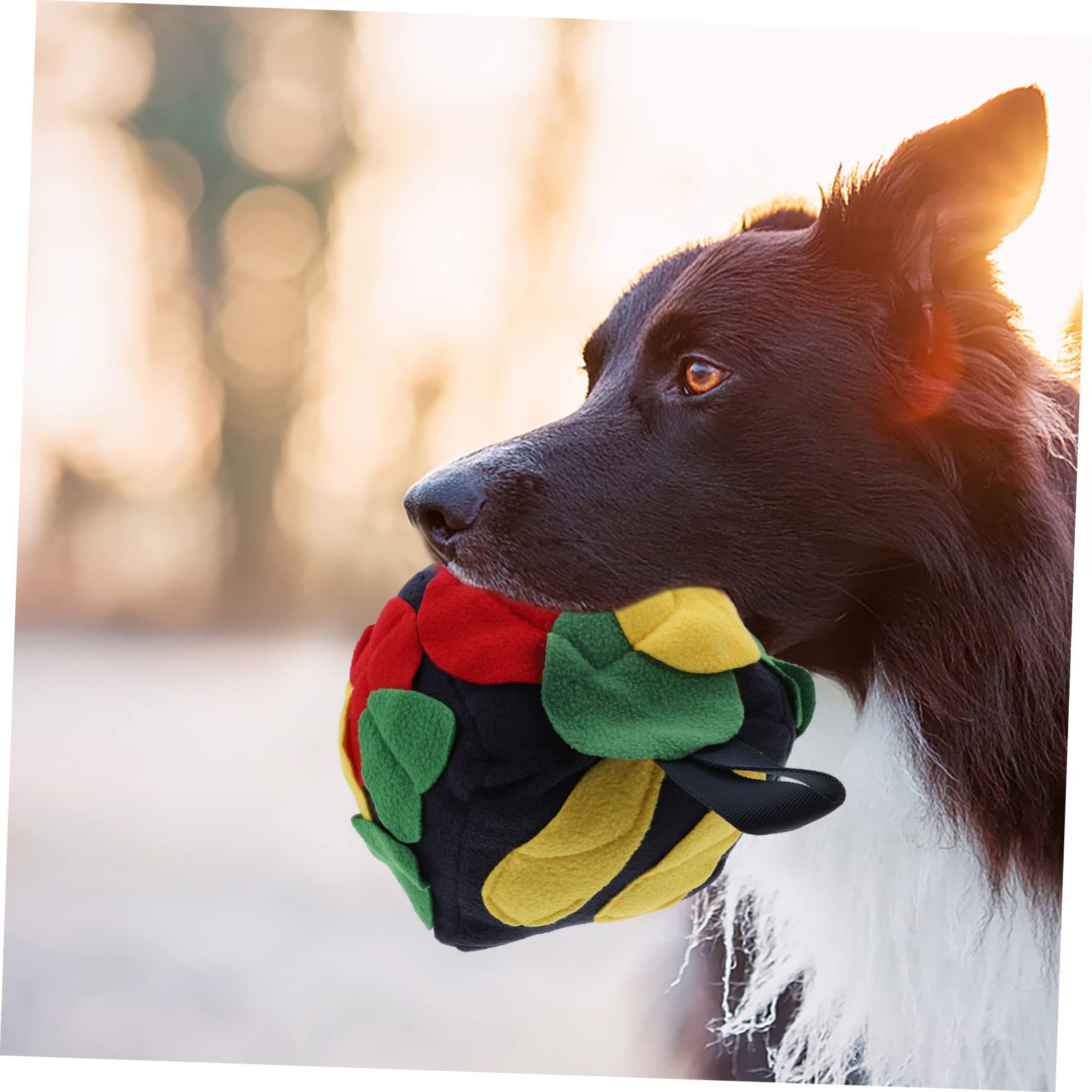 FRCOLOR 2stücke Interaktiver Schnüffelball Für Hunde Futtersnüffelspielzeug Mit Leckereien Langlebig Und Farbenfroh Für Kleine Und Mittelgroße Hunde Fördert Das Fressen Intelligenz