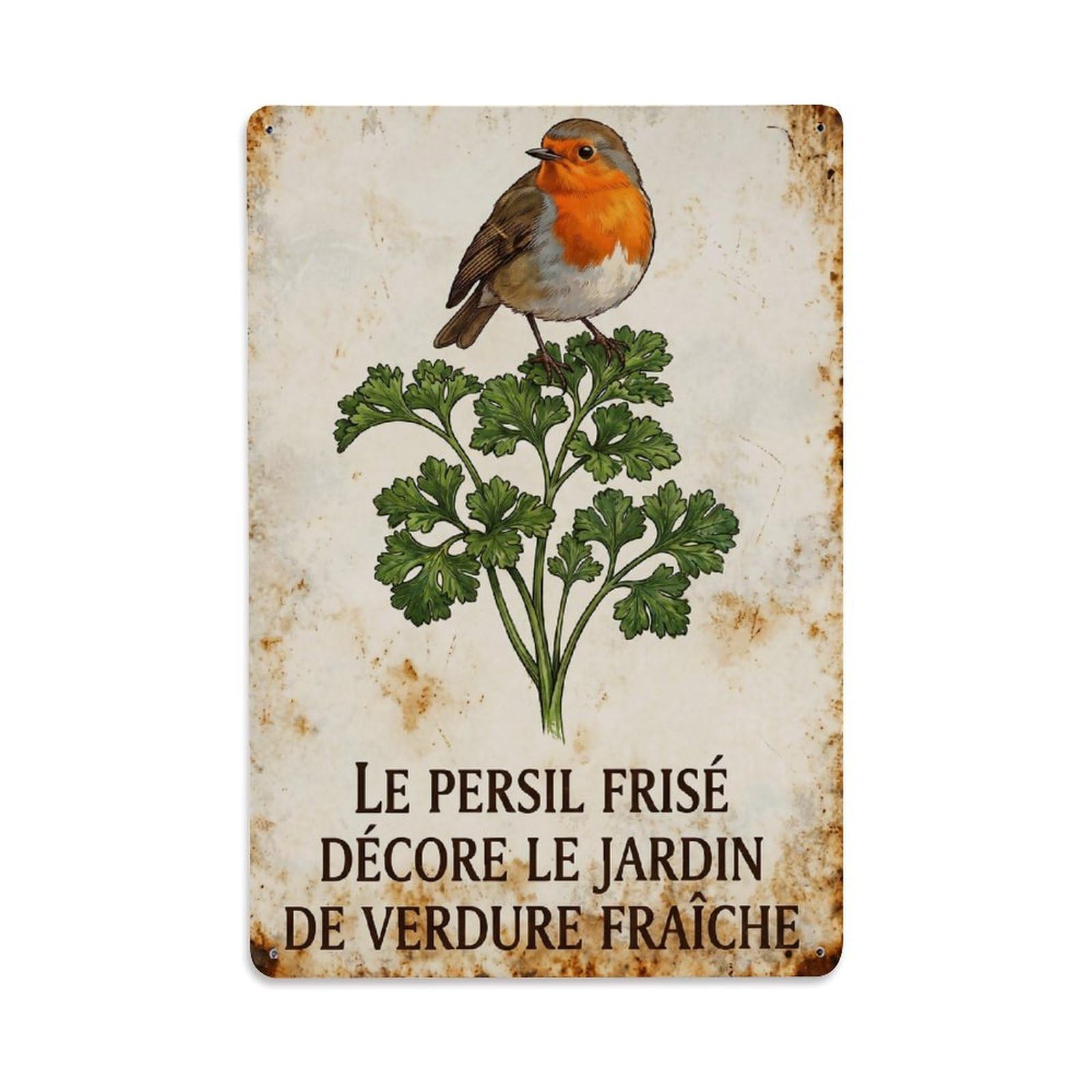 Robin Bird Garden Quote Parsley Curl Metal Tin Sign