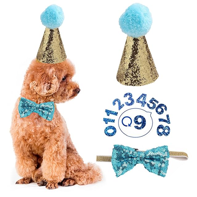 Sombrero de cumpleaños para perro
