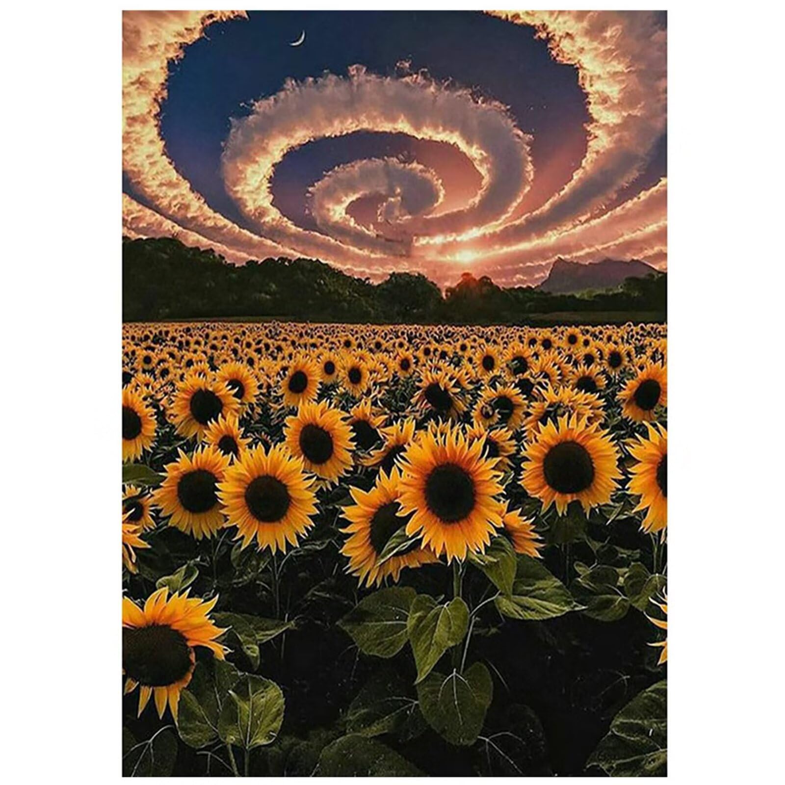 Kit complet diamant art 5D haute brillance grand canvas motif tournesol