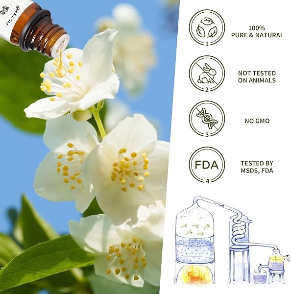 yethious ジャスミン エッセンシャルオイル 10 ML 100% ピュア精油 ナチュラル ディフューザー用 マッサージ用 アロマ テラピー - 3