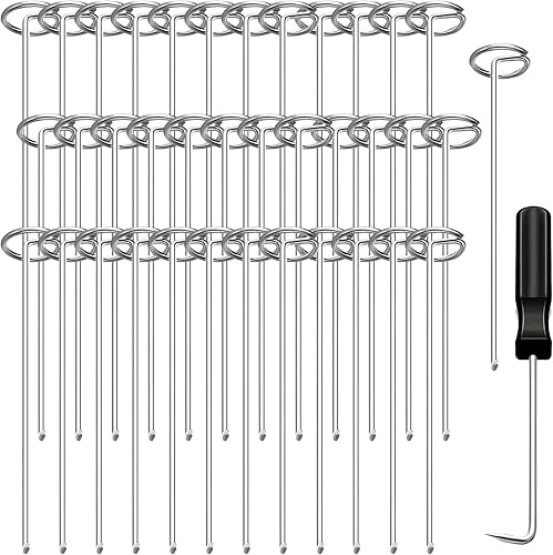 Zonon 1000 grapas de paisaje de 6 pulgadas con 10 levantadores de uñas, pasadores de tela de paisaje de acero galvanizado, grapas de césped, estacas