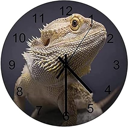 Amazon Co Jp かわいい面白い動物のトカゲアート木製壁掛け時計サイレント非カチカチdiy壁掛け時計電池式木製モダンオフィスシンプルなミニマリスト時計キッチン用装飾ホームバスルームリビングルーム ホーム キッチン