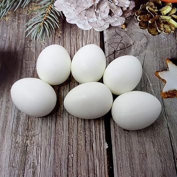 Honbay 12PCS Solid Plastic Simulation Pigeon Eggs Mini Dummy Eggs Hatching Eggs for Pigeon Hatching