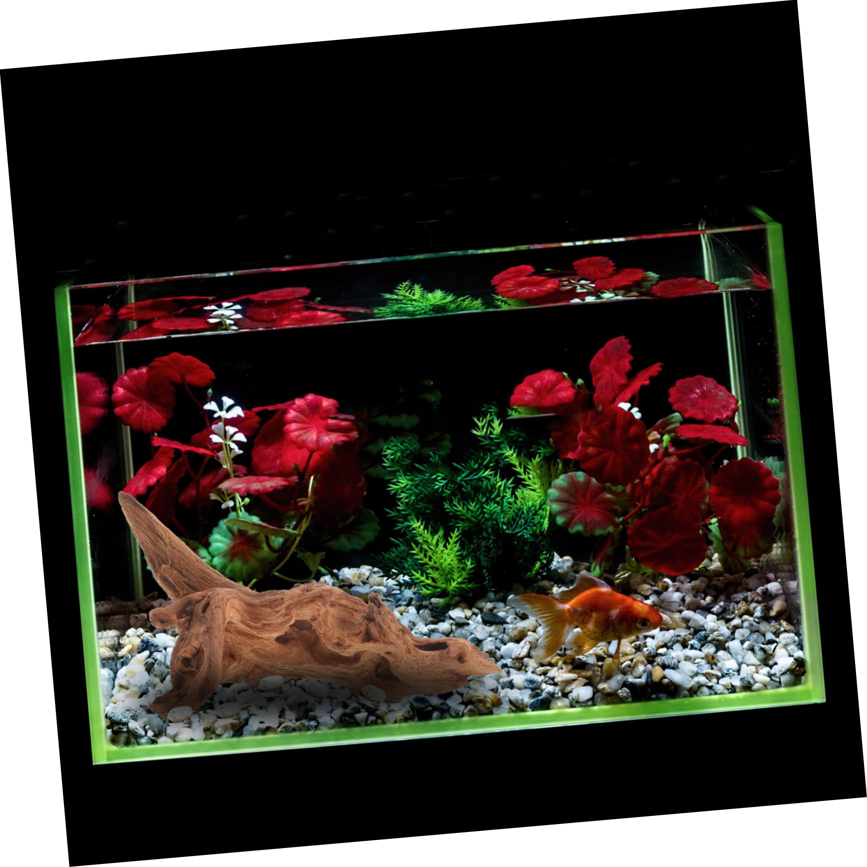 Amazon.co.jp: 水族館の沈んだ木 水族館の装飾用の天然流木 水中流木