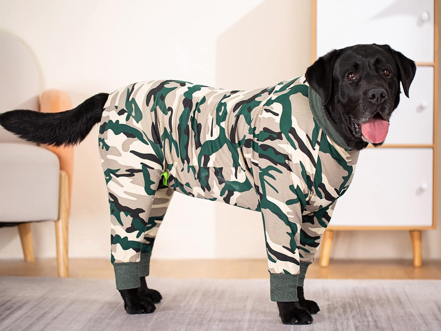 Pigiama tuta per cane - Tuta leggera in cotone anti-pelo per recupero post-chirurgico - Taglia media e grande_30 (Mimetismo bianco)