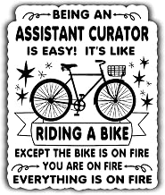 (4Pcs-2.5in) Assistant Curator Vinyl Sticker – Being an Assistant Curator is Easy, It's Like Ride A Bike On Fire - Waterproof Vinyl Stickers Gift for Coworker - Decal for Laptop, Water Bottles