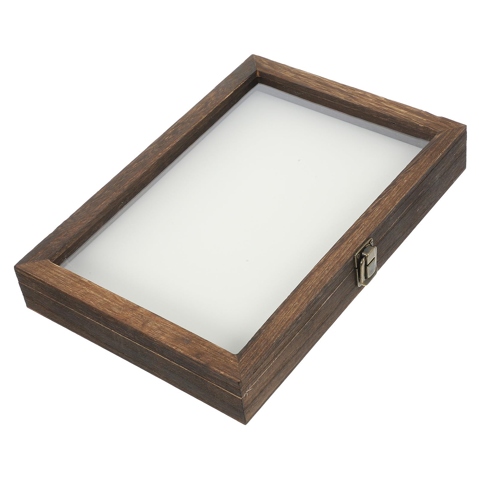 Homoyoyo Caja de Colección de Madera para Insectos Ventana Transparente Acrílica, Diseño Compacto y Vintage Adecuado para Exhibición y Almacenamiento Decorativo Estilo