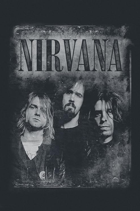 Nirvana T Shirt Faded Faces Band Logo Official Womens Junior Fit Black Size M