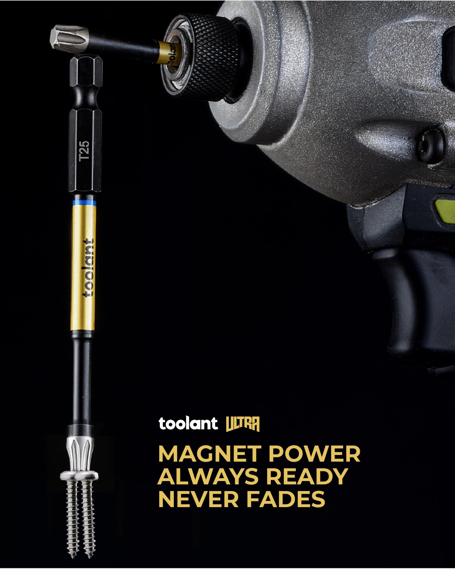 Toolant Torx Bits: Impact Resistant & Durable -6 Toolant Torx Bits: Impact Resistant & Durable -6