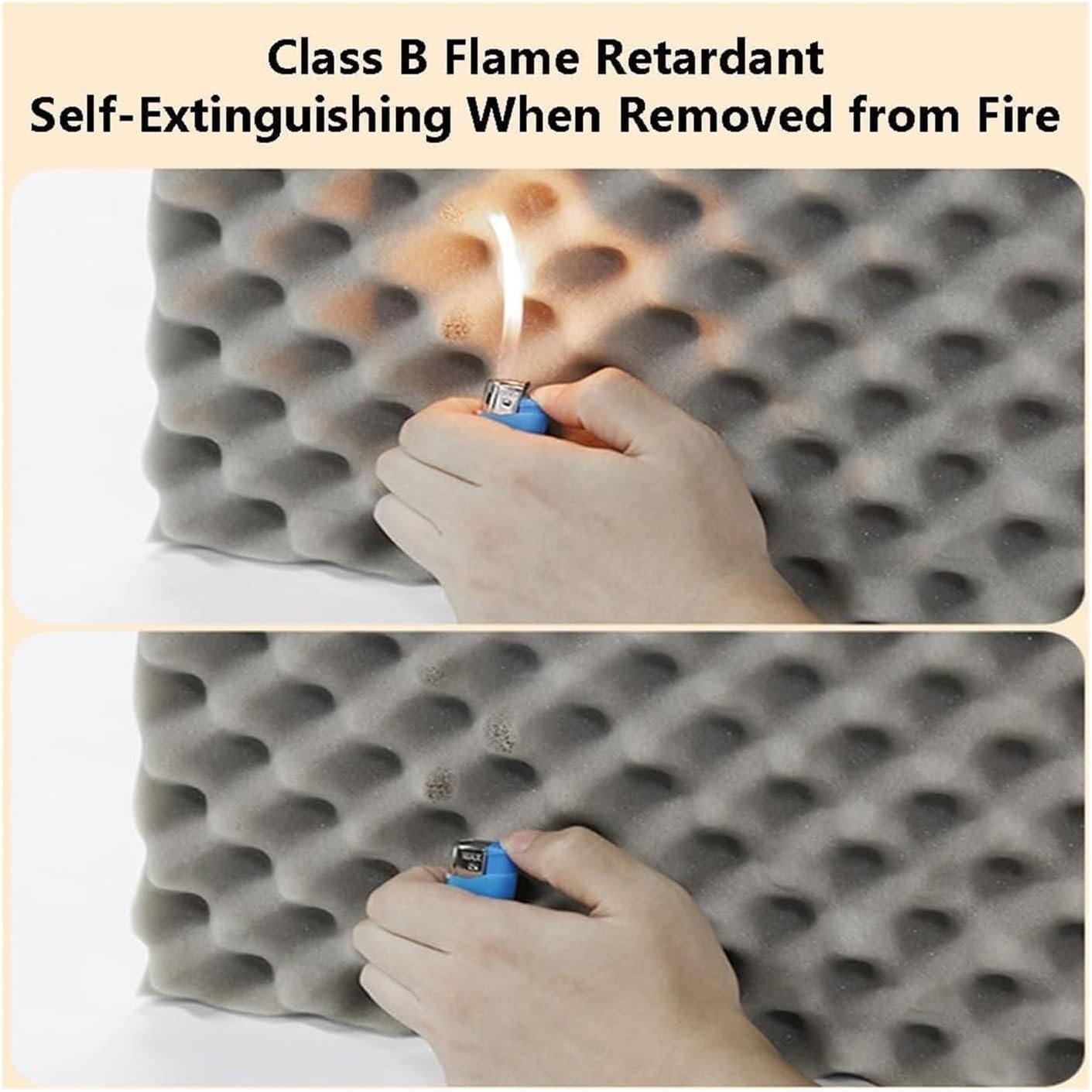 君もチャンピオンになれる B*r様 君もチャンピオンになれる ボブ