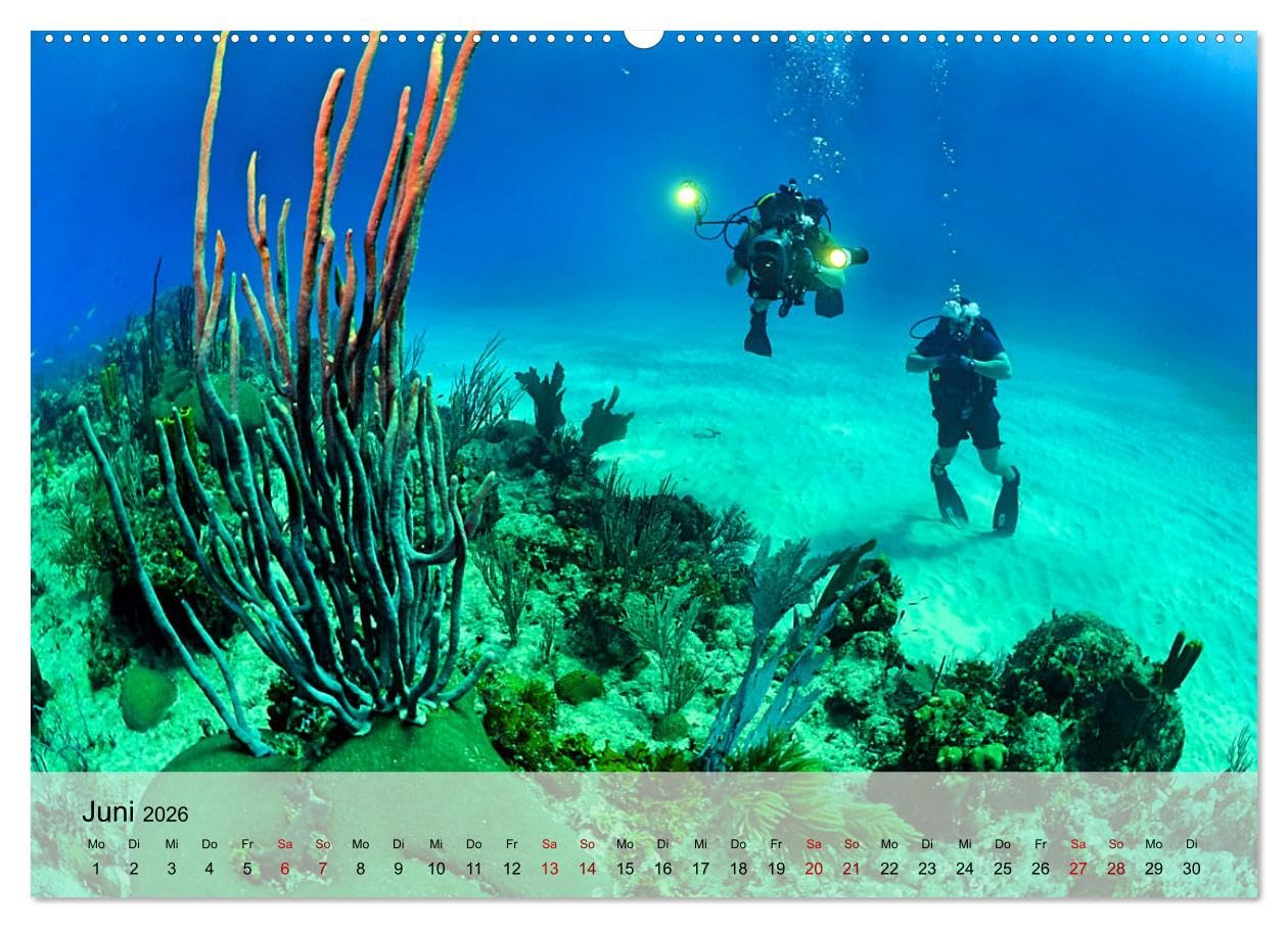Erlebnis Tauchen - faszinierende Unterwasserwelt (hochwertiger Premium Wandkalender 2026 DIN A2 quer), Kunstdruck in Hochglanz: Spektakuläre Bilder ... Tauchrevieren der Erde (CALVENDO Sport)