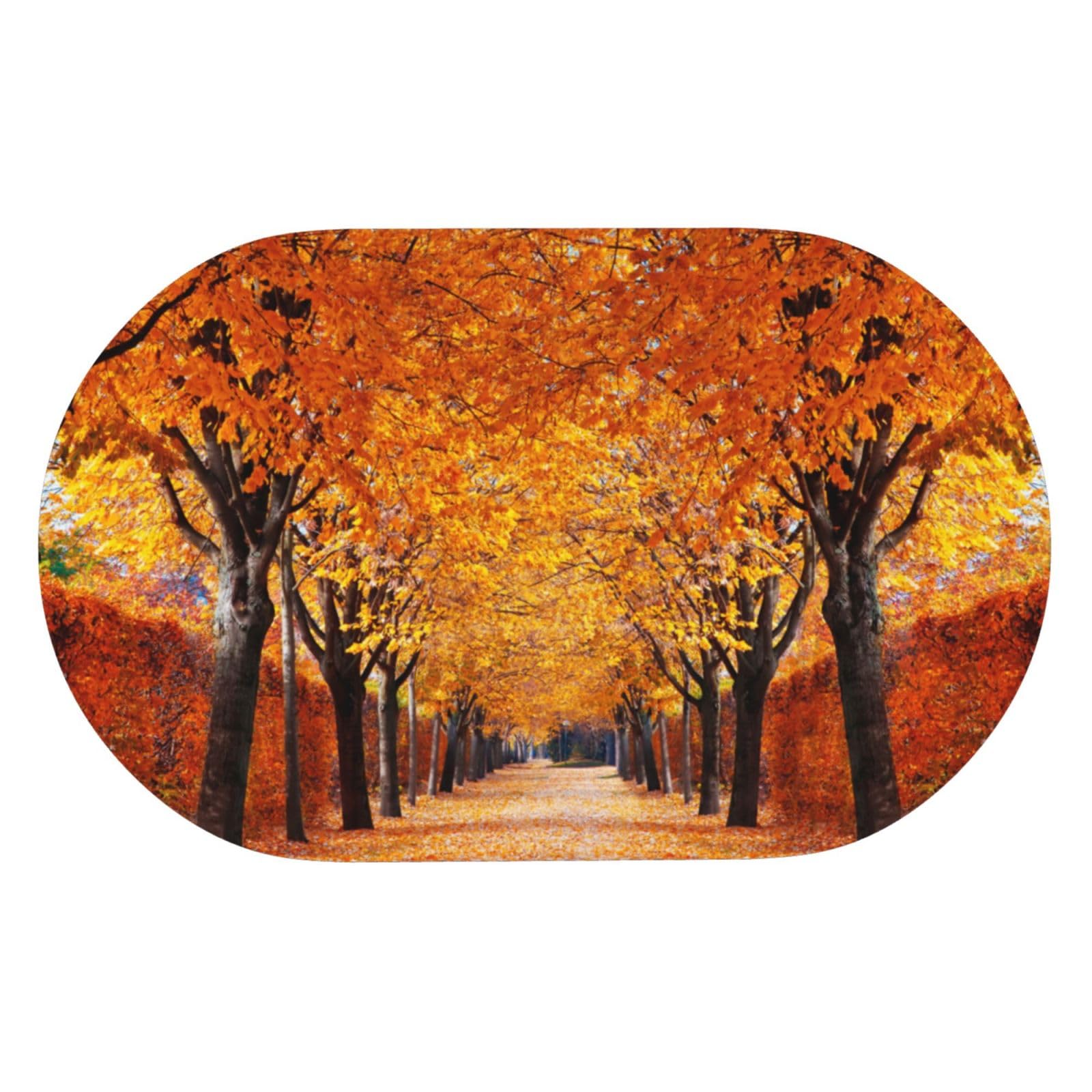 TOMPPY Pathway in the Woods Tapis de bain imprimé recouvert de terre de diatomée à séchage rapide en caoutchouc antidérapant pour cuisine, salle de bain, porte 50 x 80 cm
