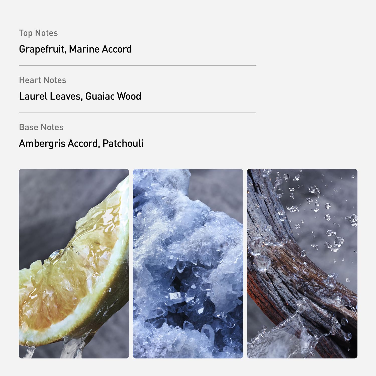 Rabanne Invictus Eau de Toilette - Long Lasting Woody Aquatic Cologne for Men with Marine, Grapefruit & Guaiac Wood - Trophy Bottle French Fragrance Spray from Paris, 6.8 oz - Image 2