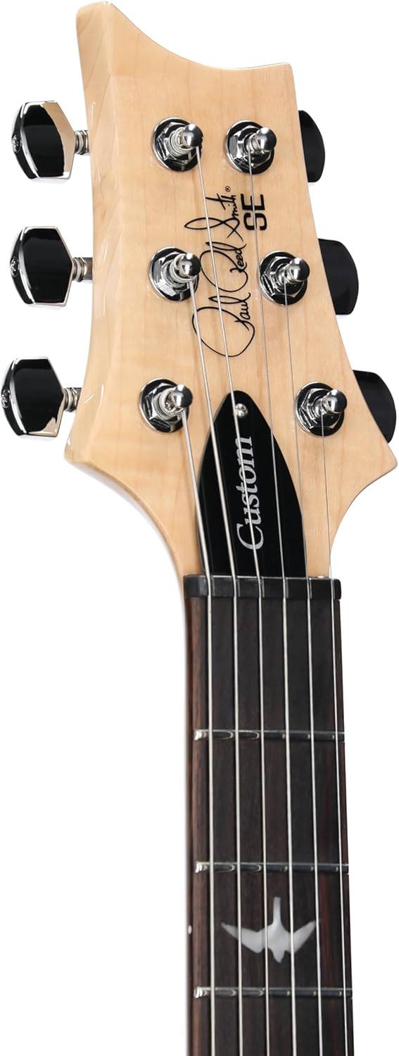 PRS SE Custom 24 Exclusive, Blue Matteo Natural Back