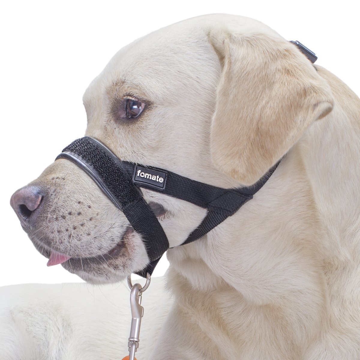 head halter muzzle