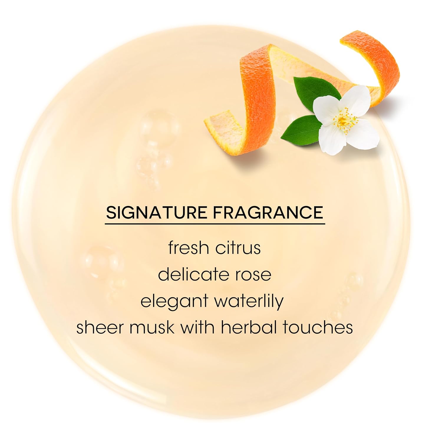 Bain de Terre Strengthening Shampoo and Conditioner Set | Keratin Phyto-Protein | Strengthens Weak & Fragile Hair | Paraben Free | Color-Safe | 13.5 Fl Oz - Image 6