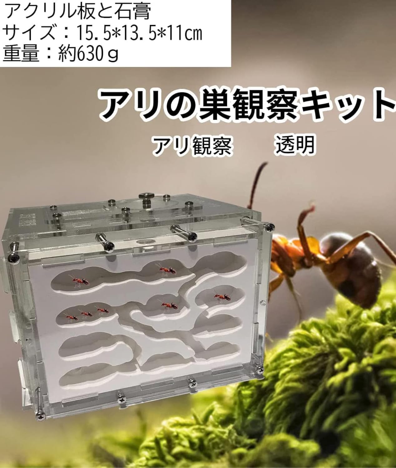 アリの巣観察キット(完成) Amazon.co.jp: アリの巣 3Dアリ飼育キット 観察キットアリの巣 透明
