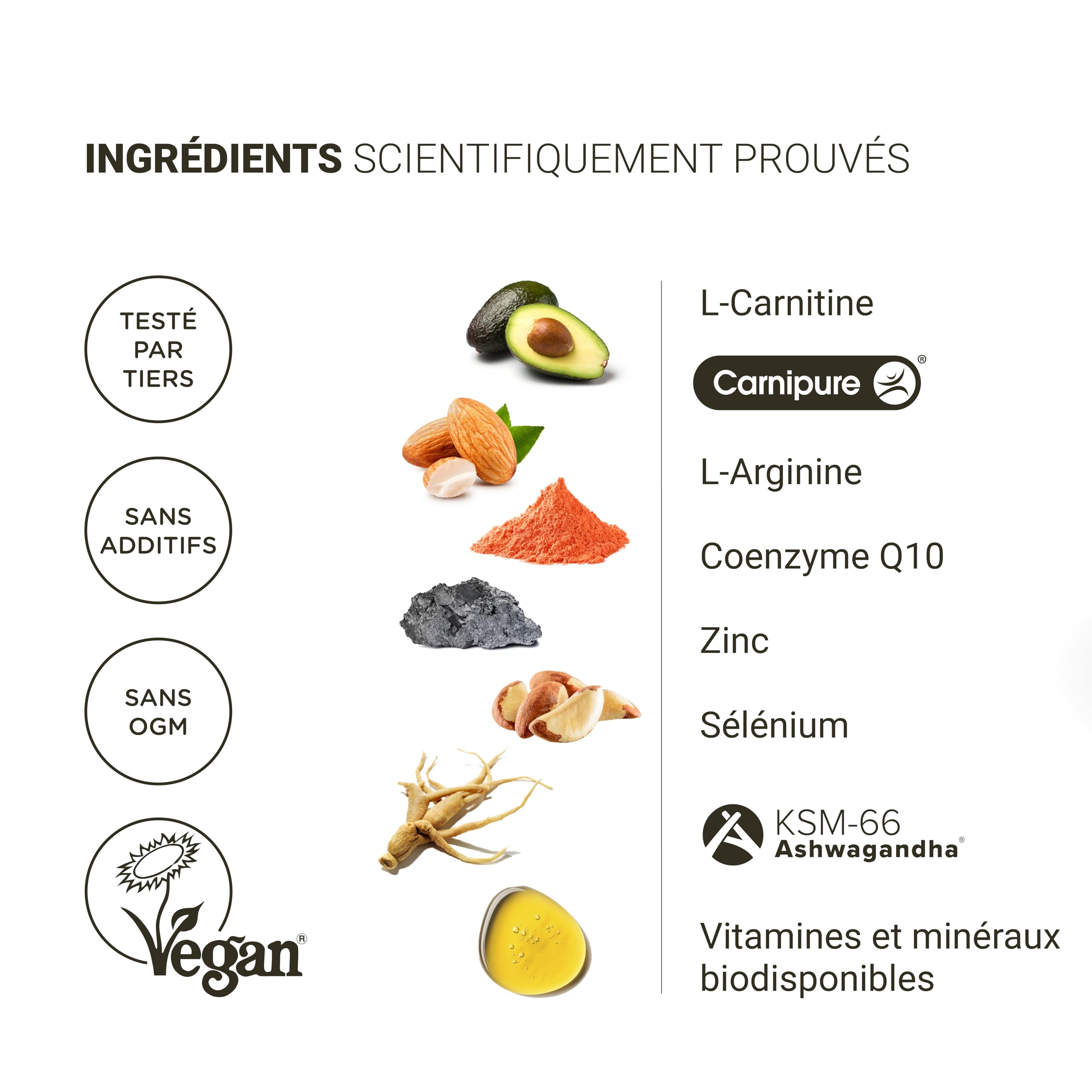 Formule Fertilité Homme | Nullure | 120 gélules (2 mois) | Testé par tiers | Nombre & Motilité des Spermatozoïdes | L-carnitine + CoQ10 + L-arginine + Zinc | Sans additifs & Vegan | Fabriqué dans l'UE