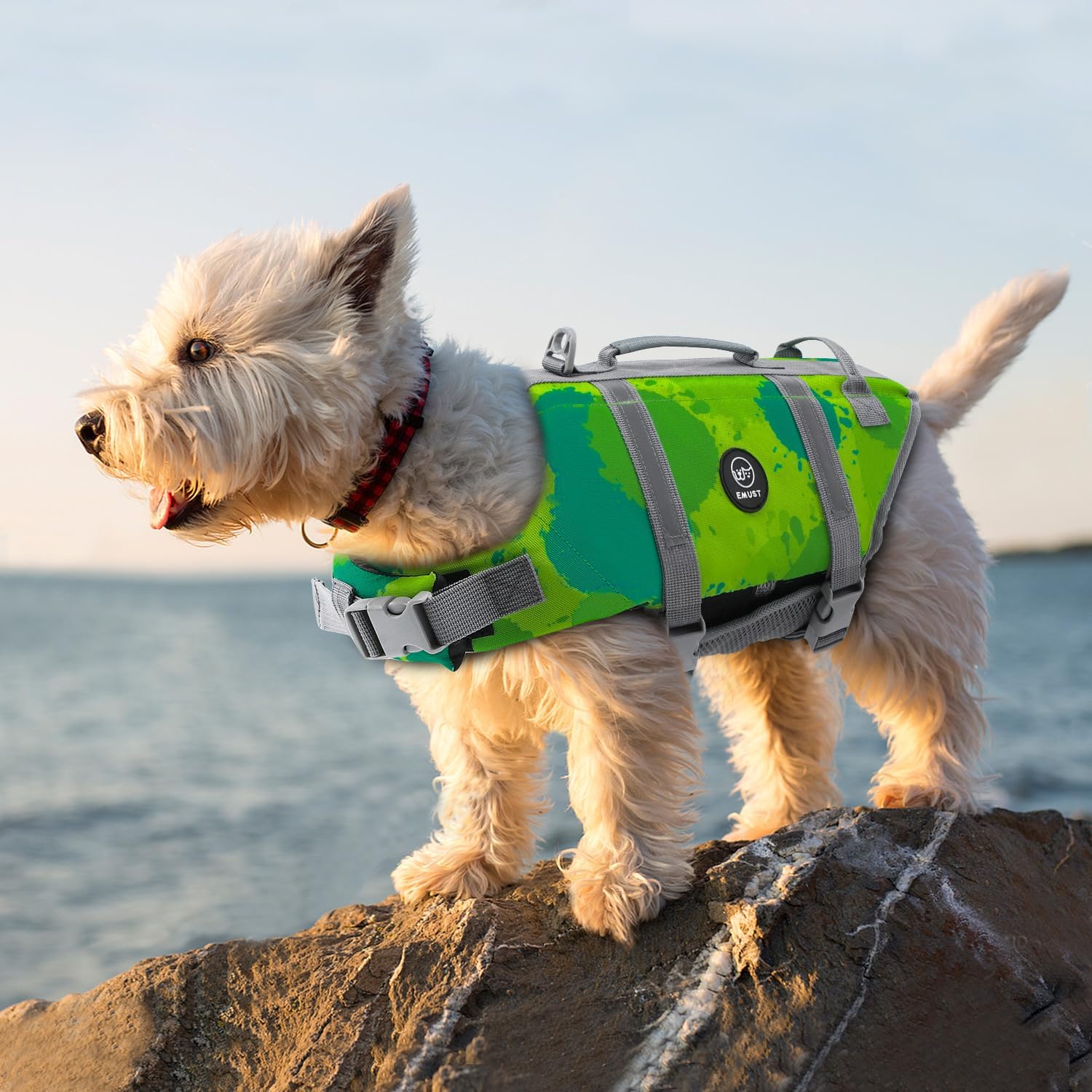 71AMnW2PF L. AC SL1500