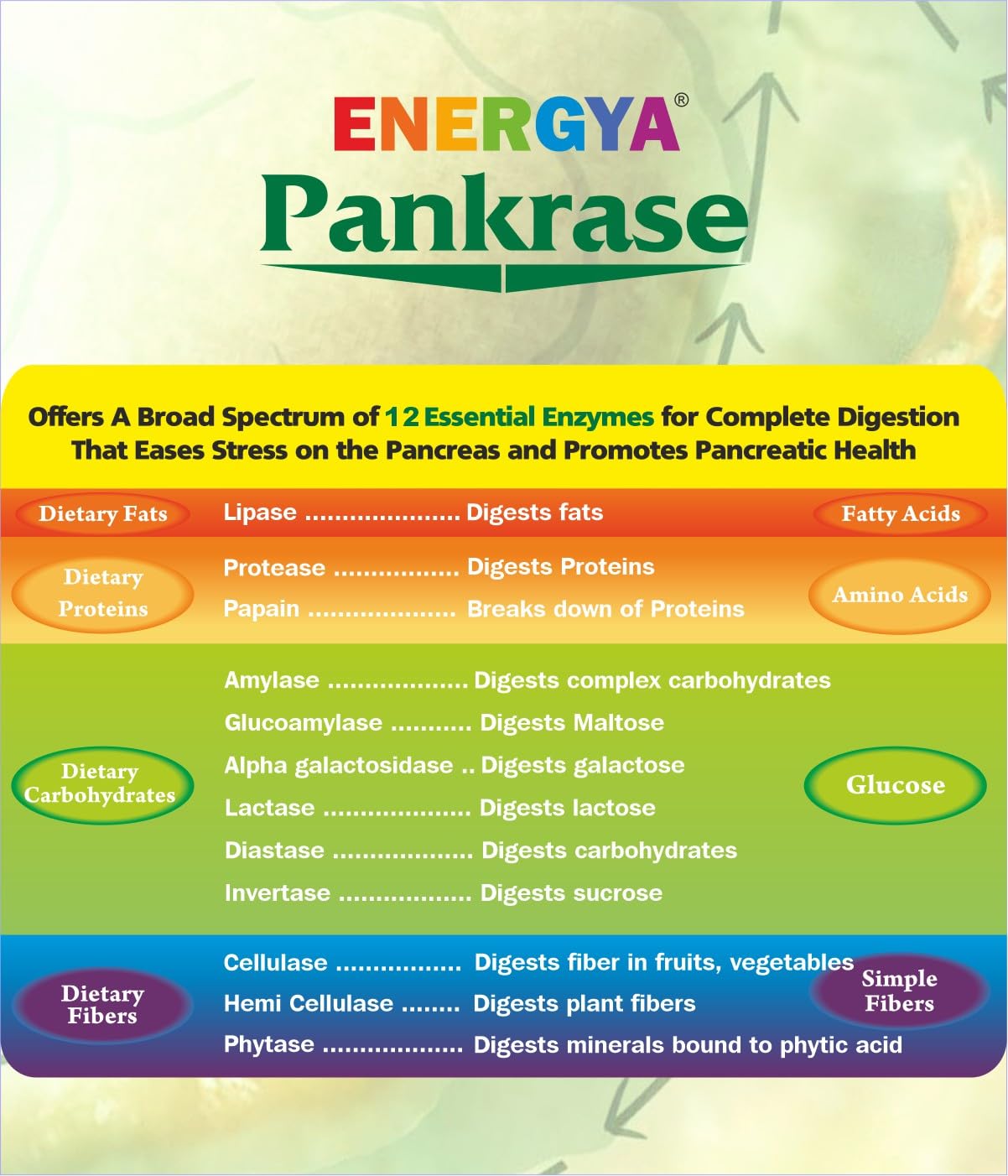 Pankrase Multi -Jestent Enzyme Supplementary | 12 comprehensive spectrum enzymes for digestive health | Relief Gas and Bloating | Nutrient supports absorption and IBS symptoms. 30 cap Pankrase Multi -Jestent Enzyme Supplementary | 12 comprehensive spectrum enzymes for digestive health | Relief Gas and Bloating | Nutrient supports absorption and IBS symptoms. 30 cap