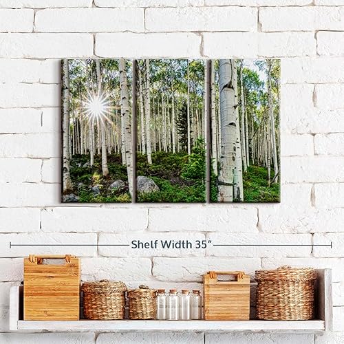 Miniatura 2 de Elephant Stock Aspen Forest Sunburst - Lienzo decorativo para pared, 3 piezas, lienzo, cuadros de bosque, decoración de pared, arte de pared de