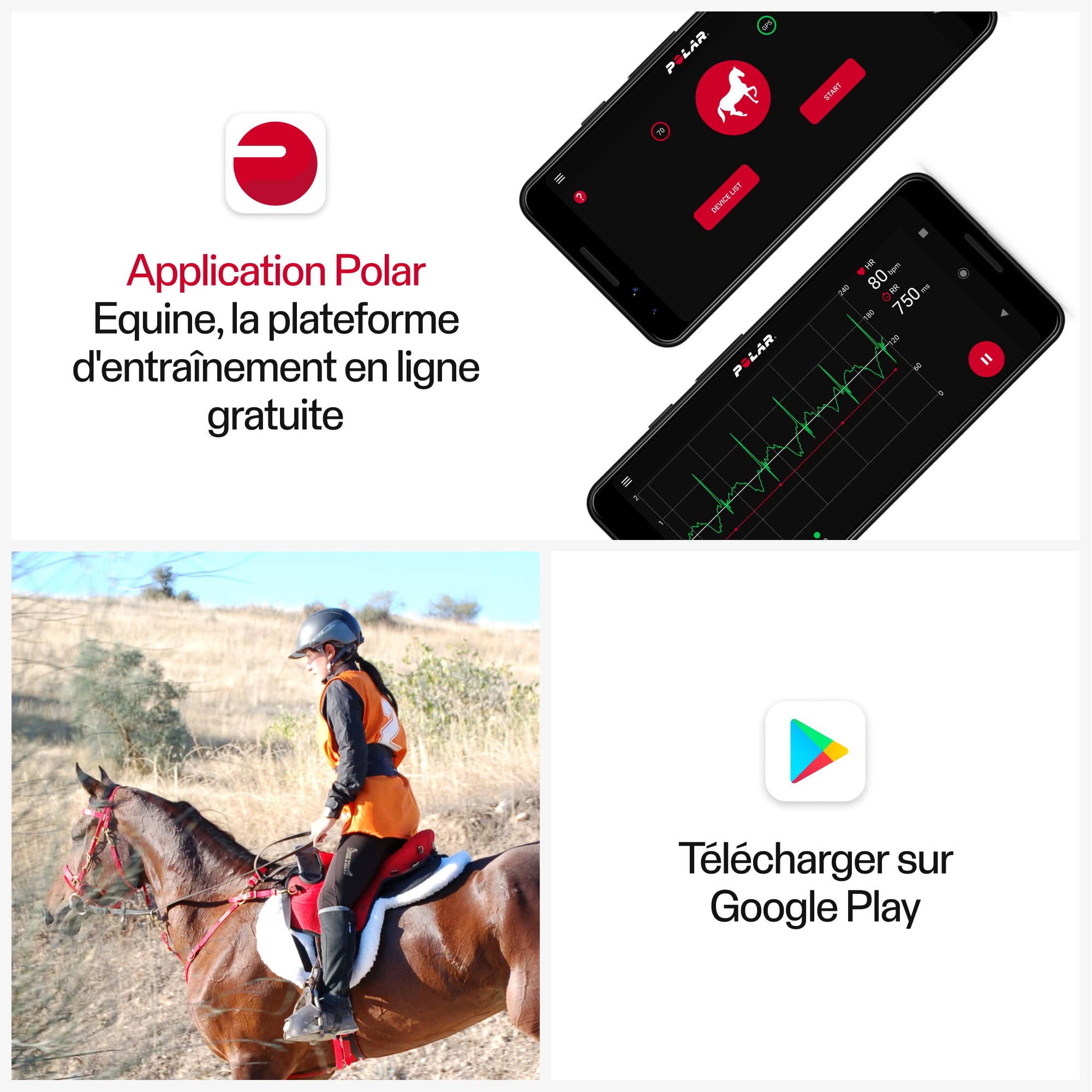 Polar Mixte Equine Cardiofréquencemètre Cardiofr quencem Tres pour Cheval, Noir, Taille Unique EU