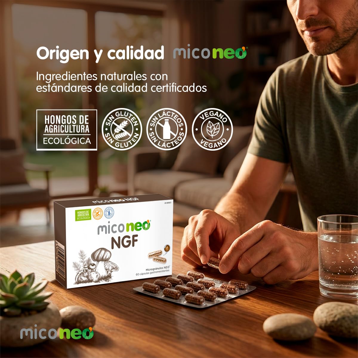 MICO NEO | NGF | 60 Cápsulas | Favorece el Rendimiento Cognitivo | Con Bacopa, Melena de león, Reishi, Cordyceps y Camu-Camu | Hongos de Agricultura Ecológica