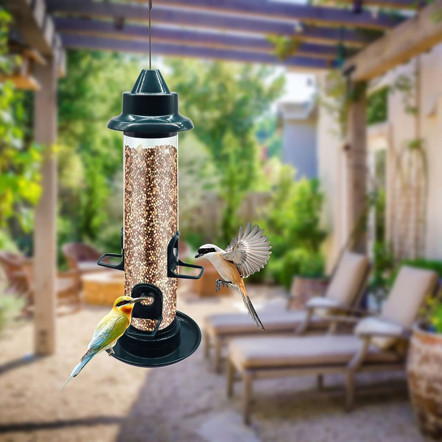 Bird Feeder Hummingbird, Hanging Tube Bird Feeder, Large Clear Round Bird Feeder, No Mess, Weather Resistant, Indoor & Outdoor Use