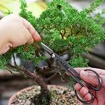 MOSFiATA Bonsai Tools ensemble 13 Pcs Haute Carbone Acier Succulent Jardinage TrimmingTools Ensemble comprenant des ciseaux, des ciSeaux, Mini Râteau, rond et pointu et fil de formation dans PU Sac en cuir