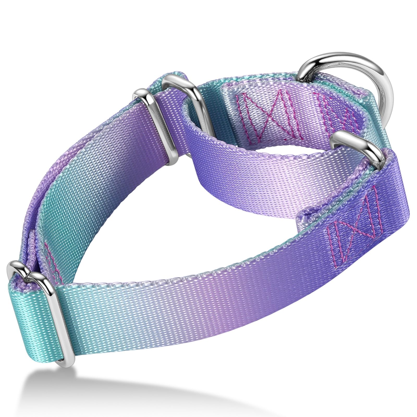 Axdvk Martingale-Halsband für Hunde – Bunter Farbverlauf, Modisches Design & Ausbruchsicher – Weich & Langlebig – Für Spaziergänge, Training, Outdoor und Alltag, L,Lila-Grün Verlauf