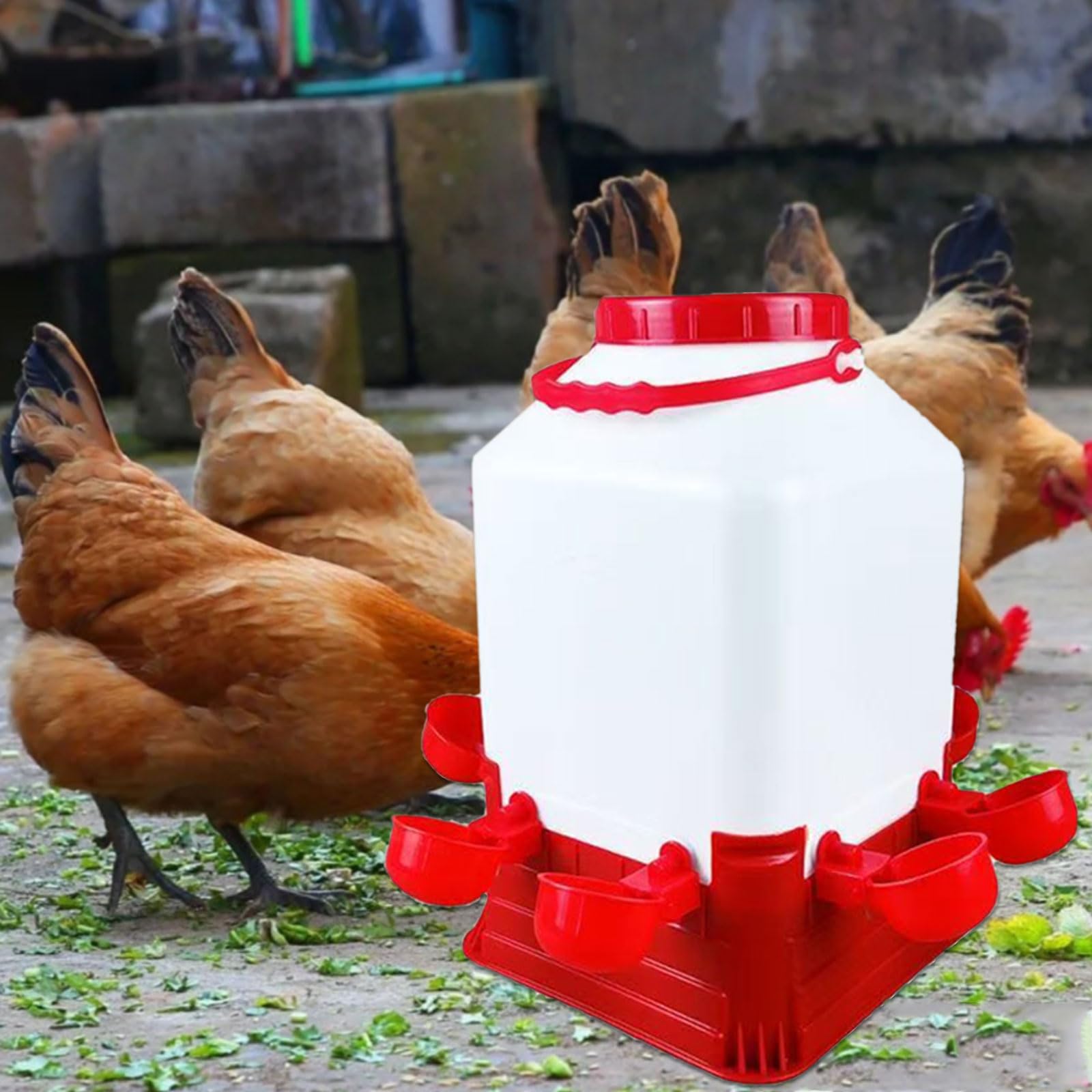 Mangiatoia automatica per polli con design anti-spreco per pollame, oche, anatre, guarnizione a tenuta stagna, strumento di alimentazione antispill automatico per pollo e abbeveratoio