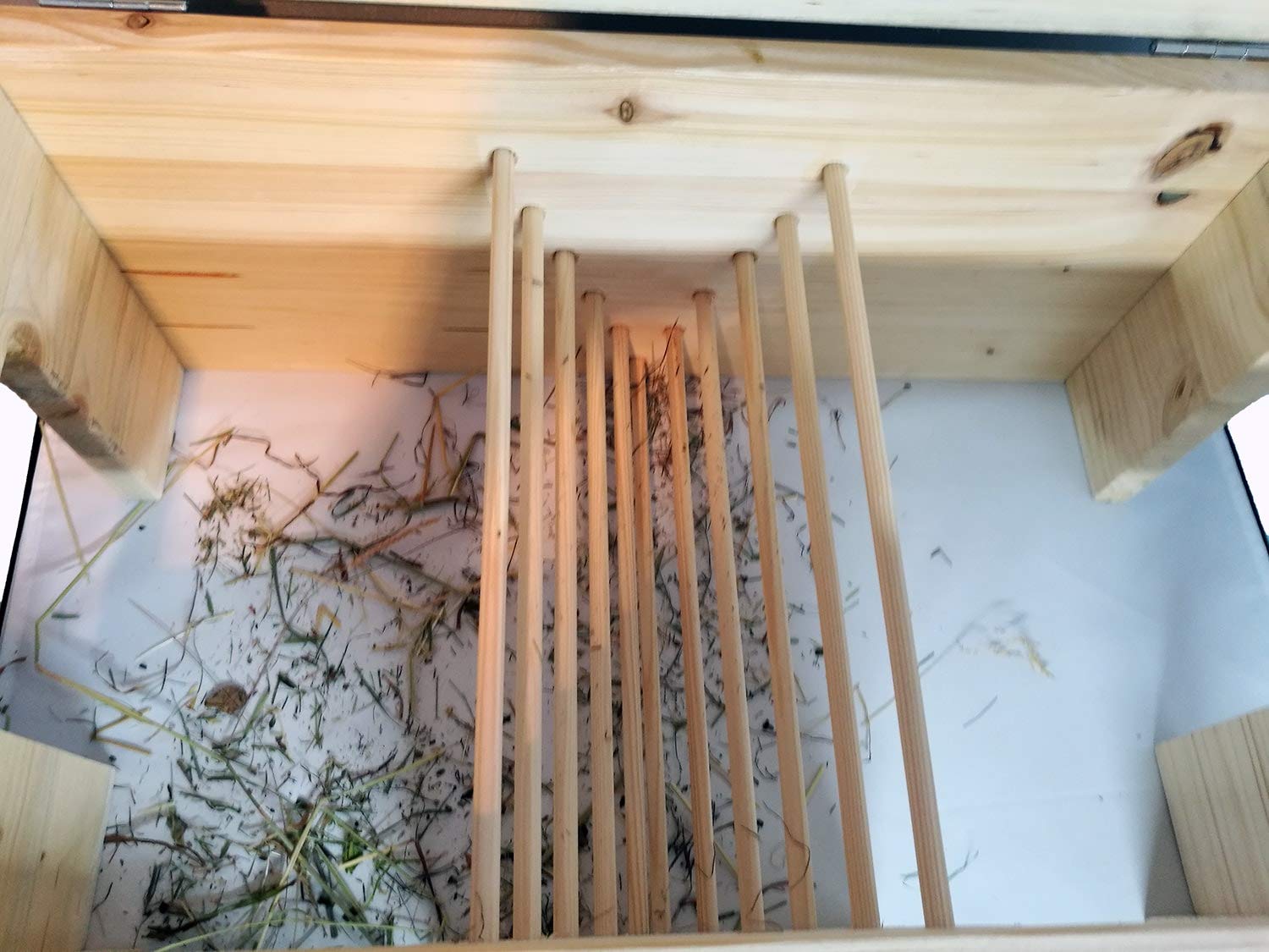 Nagerhaus Meerschweinchenhaus XXL mit Futterraufe, Motiven & Schutzlasur