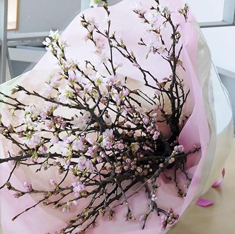 Amazon Puriza 桜の花束 卒業式 入学式 春の花 誕生日んの花 ピンク 70ｃｍ前後 10本 花束 オンライン通販