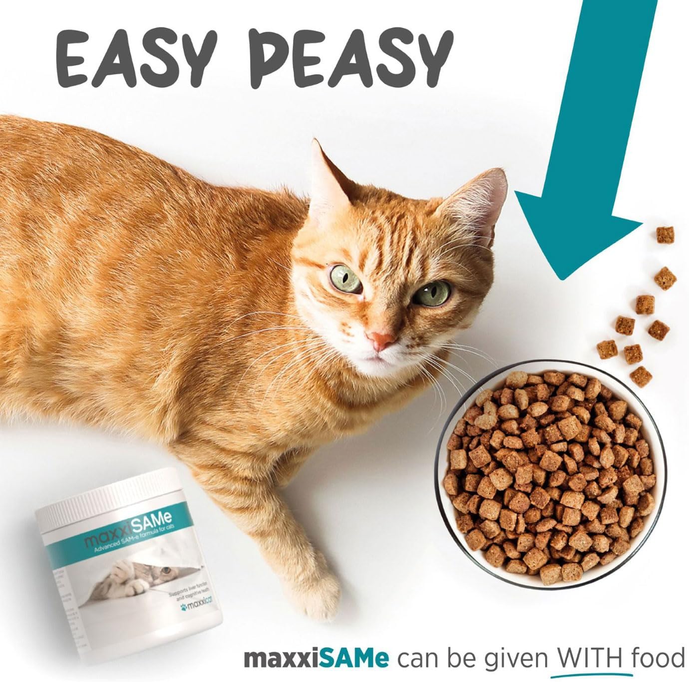 maxxipaws maxxiSAMe Advanced SAM-e Powder Supplement - Liver, Cognitive & Joint Support for Cats, 3.2oz