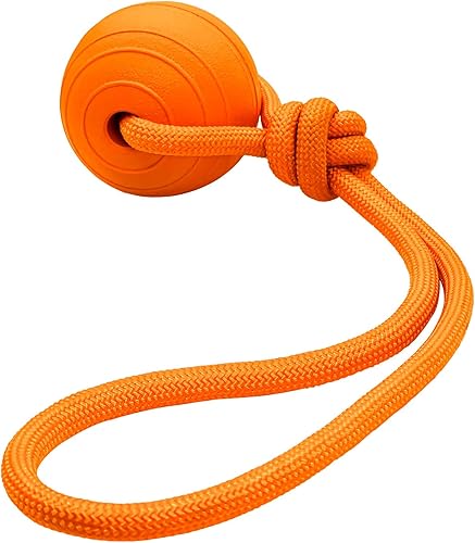 Bola flotante de espuma para perros en una cuerda, juguete de bola de remolcador para perros pequeños, medianos y grandes