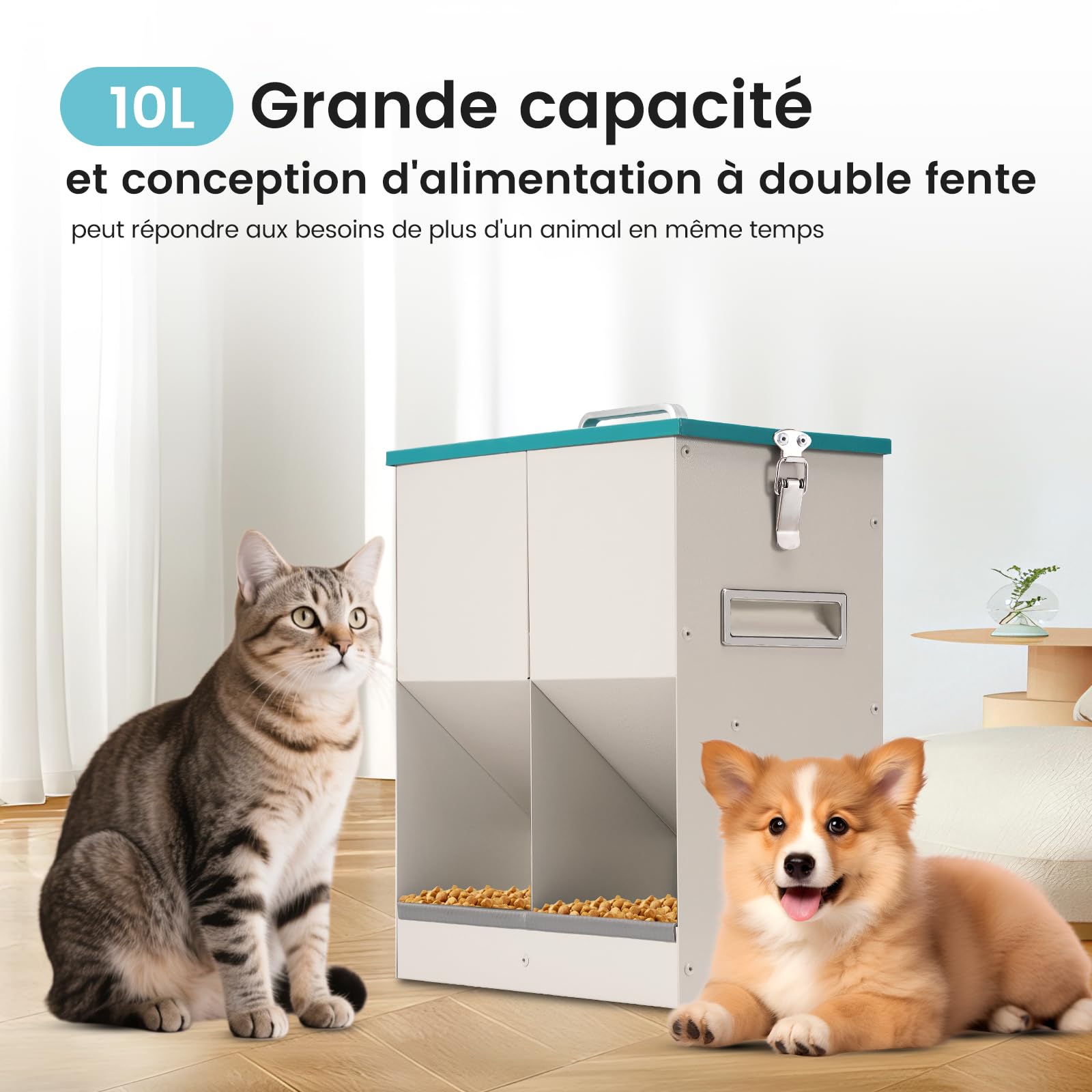 Distributeur automatique de nourriture sèche pour chats et chiens 10 l