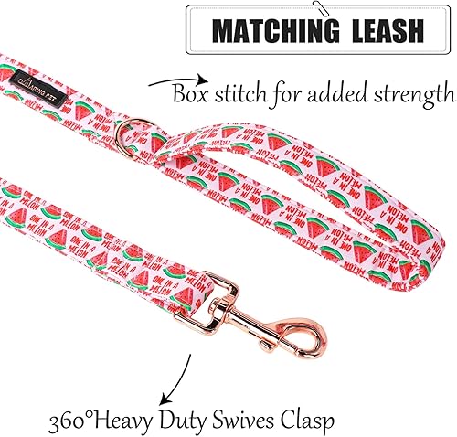 Miniatura 2 de ARING PET Correa de verano para perro, correas de perro de sandía rosa a juego, correa de algodón hecha a mano para perros y gatos pequeños,