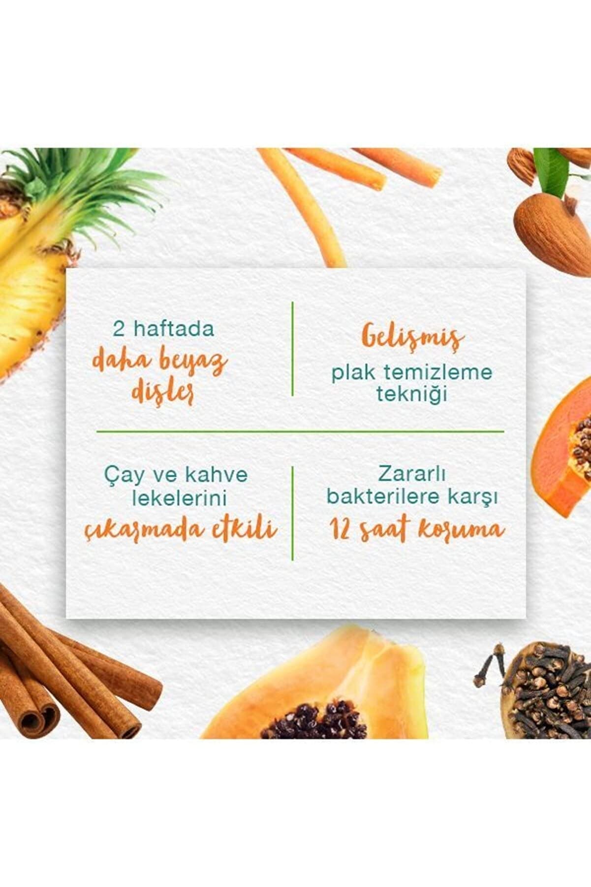 Himalaya Leke Karşıtı Bitkisel Diş Macunu, Florürsüz, Parabensiz, Vejeteryan, Leke Çıkartıcı, Bitkisel Enzim Teknolojisi, 75 ml