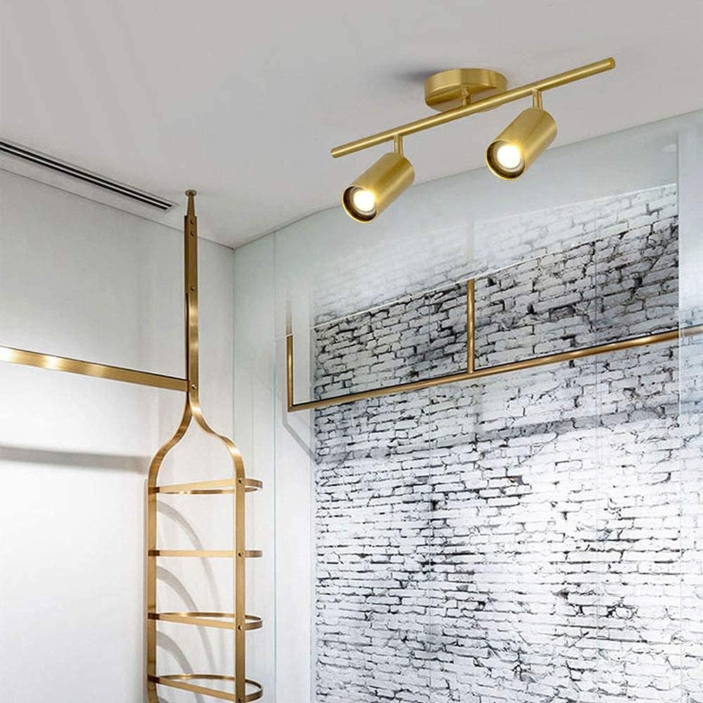 Spotlight，Flush Mount Ceiling Spot Light 2 Heads Brass Surface Mounted Lighting Fixture, Modern Ceiling Spotlight Accent Lamps for Bedroom Living Room Gallery Shop (2 Lights)/4000K/3000K