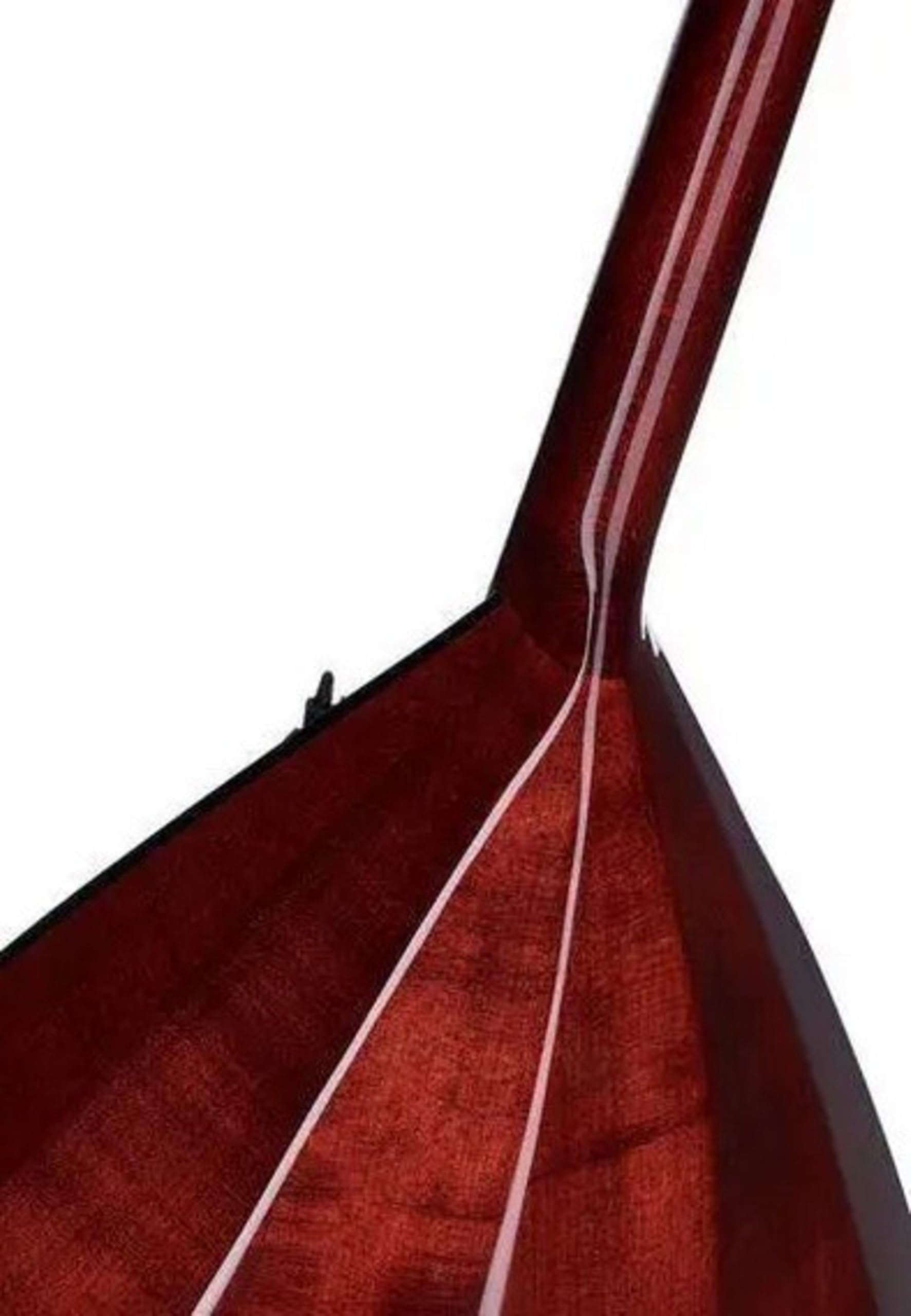 GEWA Prim Balalaika - 3-saitig - Massive Fichtendecke - Massive Ahornmuschel - 19 Neusilberbünde - Hochglanz - Made in Europe