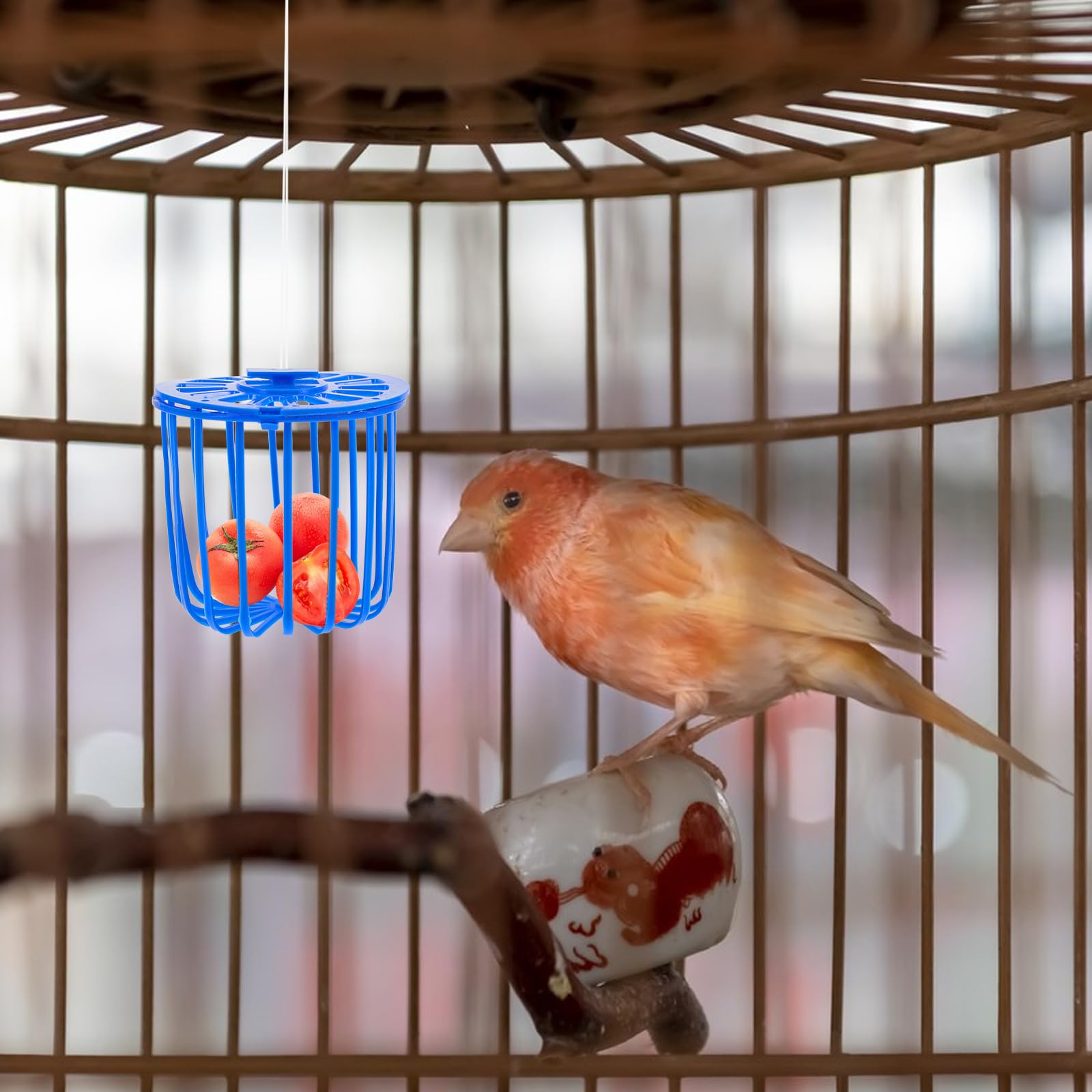 Mipcase Lot de 10 distributeurs de nourriture pour animaux domestiques - Accessoires pour animaux domestiques - Mangeoire à oiseaux - Mangeoire à légumes pour perroquet - Mangeoire à pinsons - Panier