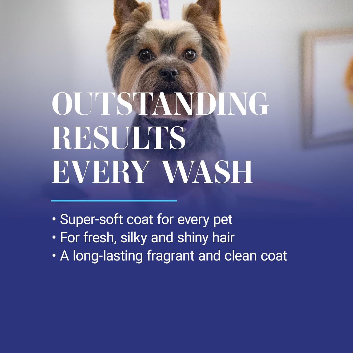 Chris Christensen SmartWash 50 Grooming Shampoo Jungle Apple, Groom Like a Professional, Delightfully Fragranced and Concentrated, Suitable for All Coats, Made in The USA, Gallon