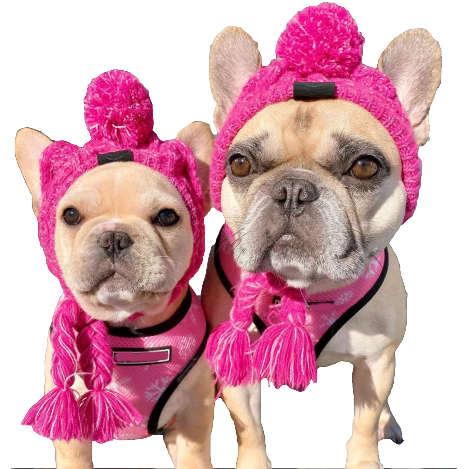 SEIS Winter Dog Knitted Hat with Puffball Warm Pet Cap Fashion Gray Cat Headband Protector for Small Medium Large Dogs (Purple, M (Head 41-51cm/ 16.1"