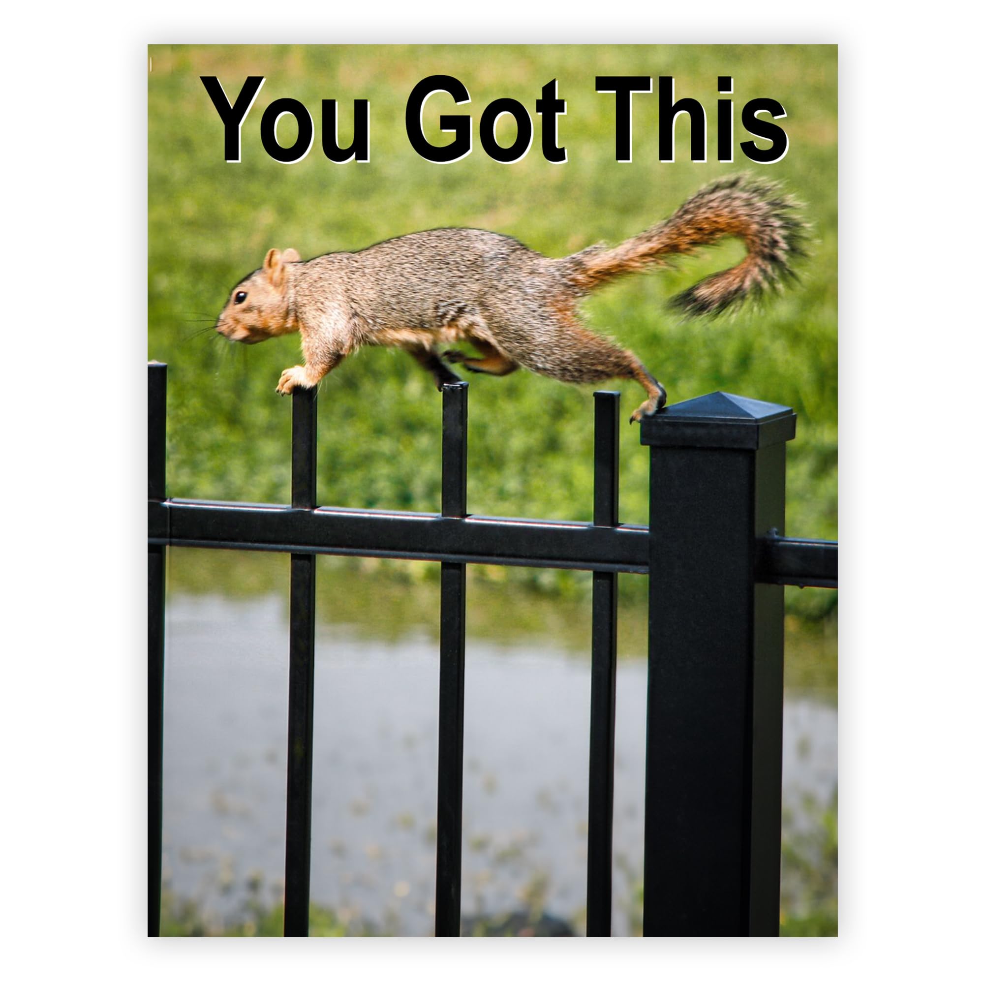 Tarjeta de aliento para ardilla You Got This Sure-Footed | Tarjetas de afirmación para mujeres, tarjetas de afirmación positiva, tarjetas motivacionales, tarjetas de afirmación para
