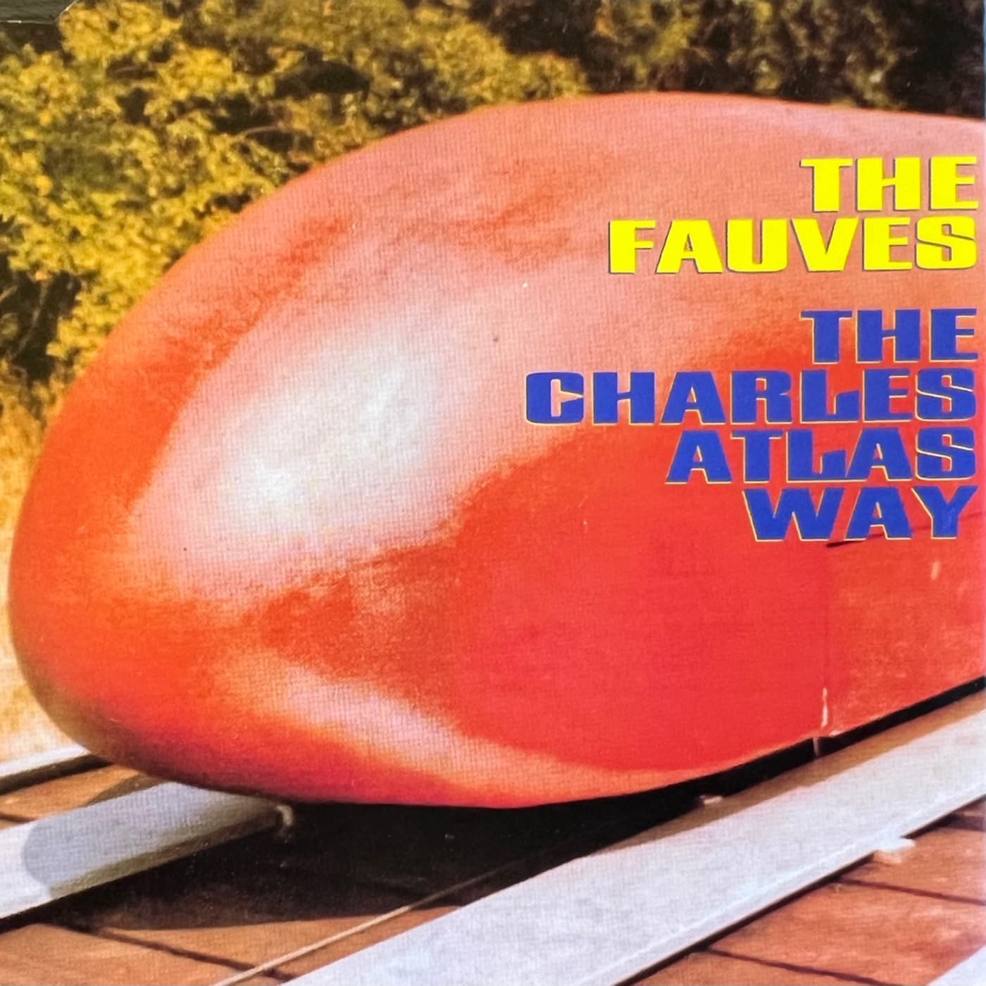 The Fauves