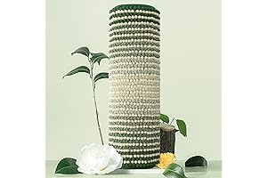 BSICPRO Bathroom Mat Rug: Sage Haven for Serene Toes