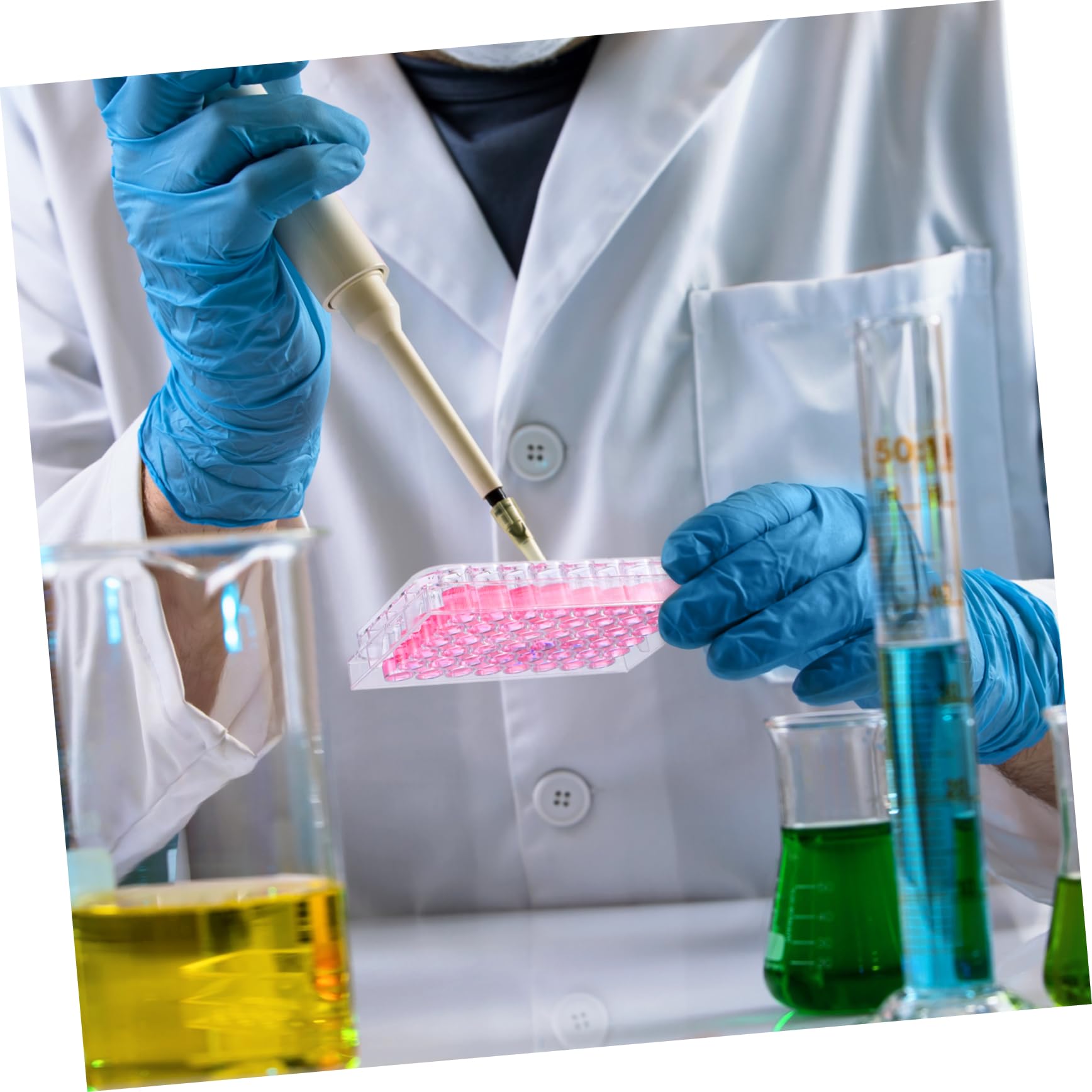 ULTECHNOVO 10pezzi Piastra Per Coltura Cellulare Trasparente Da Pozzetti Con Coperchio Stabile Strumento Per Esperimenti Di Laboratorio e Coltura Tissutale
