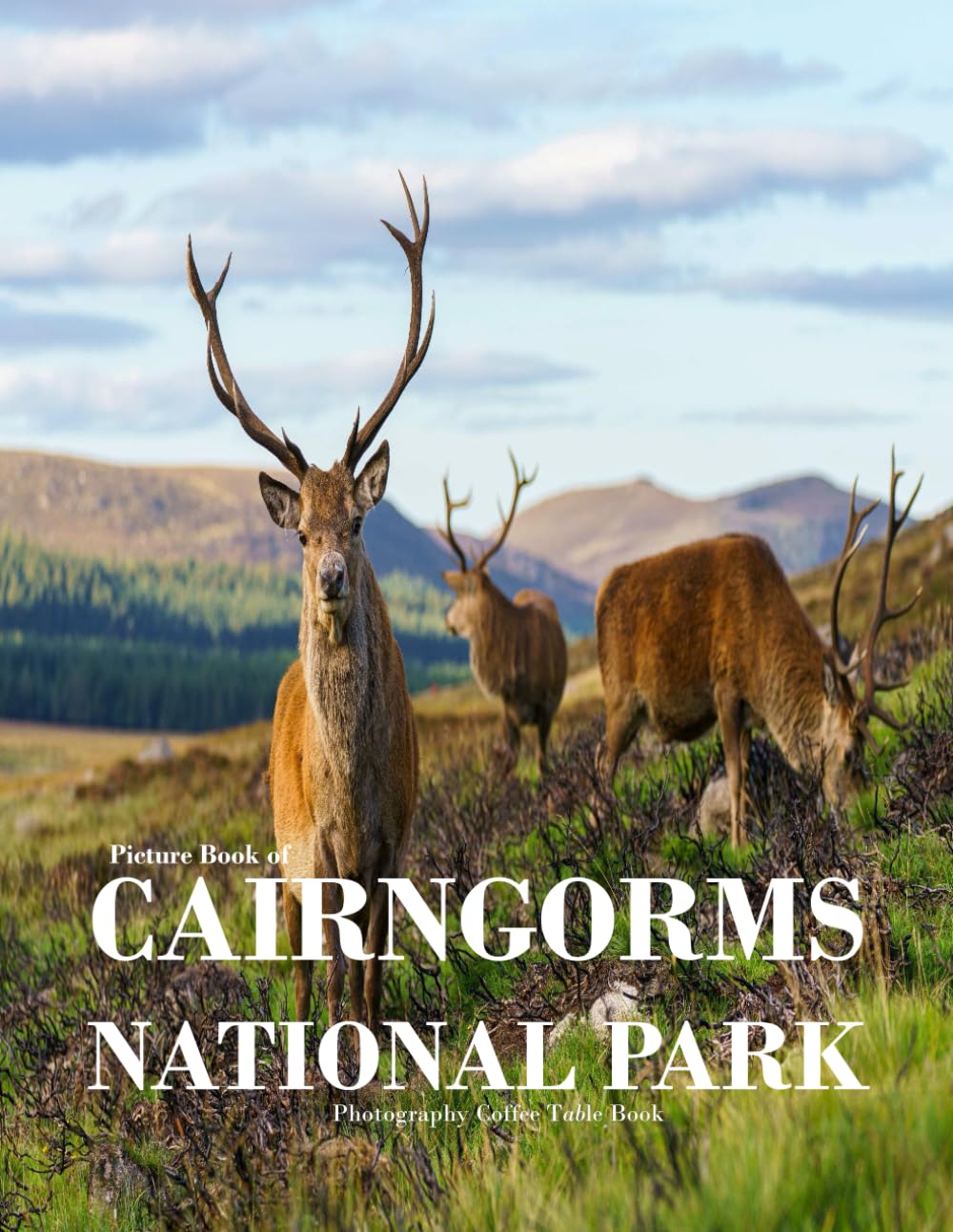 CAIRNGORMS NATIONAL PARK: Scotland's Highland Sanctuary