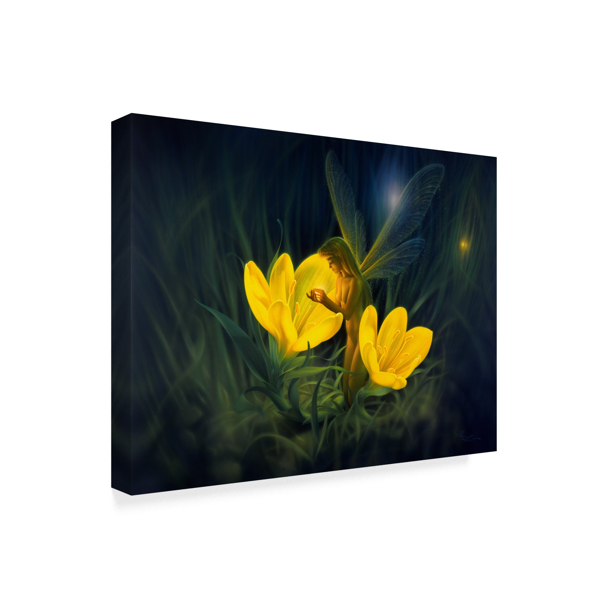 Night Harvest Yellow by Kirk Reinert, 24x32-Inch : Amazon.ca: Home
